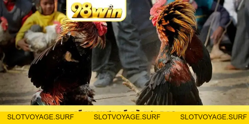 98WIN CLUB 🏆 Link 98WIN.COM Đẳng Cấp ⭐️ Tân Thủ Nạp +8.888K - Slotvoyage