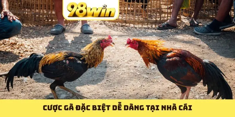 Trực Tiếp Đá Gà 98WIN: Trải Nghiệm Chất Lừ Không Thể Bỏ Qua - Slotvoyage