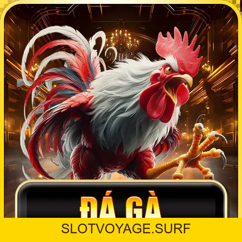98WIN CLUB 🏆 Link 98WIN.COM Đẳng Cấp ⭐️ Tân Thủ Nạp +8.888K - Slotvoyage