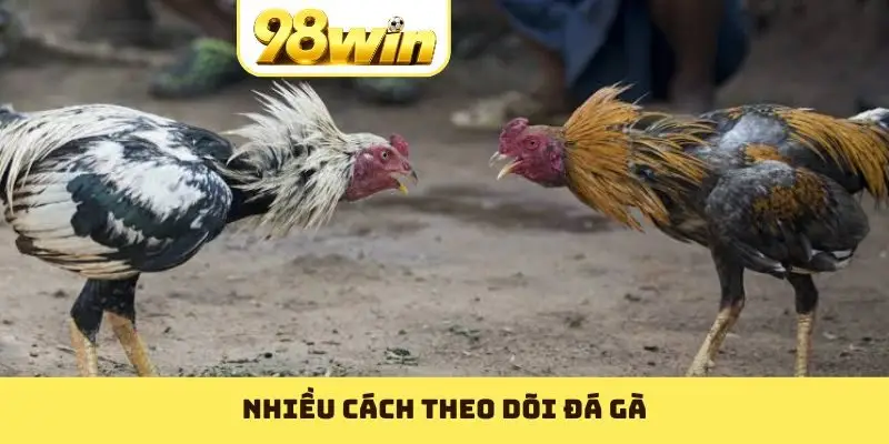 Trực Tiếp Đá Gà 98WIN: Trải Nghiệm Chất Lừ Không Thể Bỏ Qua - Slotvoyage