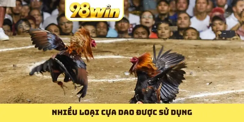 Đá Gà Cựa dao Là Gì? Chơi Cược Gà cựa dao Thế Nào? - Slotvoyage