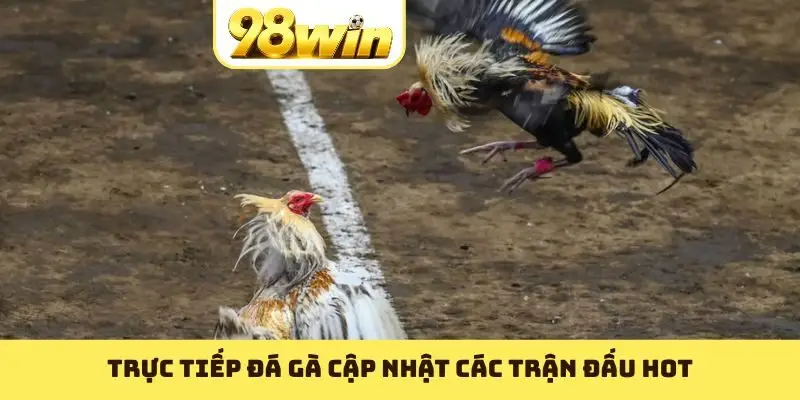 Trực Tiếp Đá Gà 98WIN: Trải Nghiệm Chất Lừ Không Thể Bỏ Qua - Slotvoyage