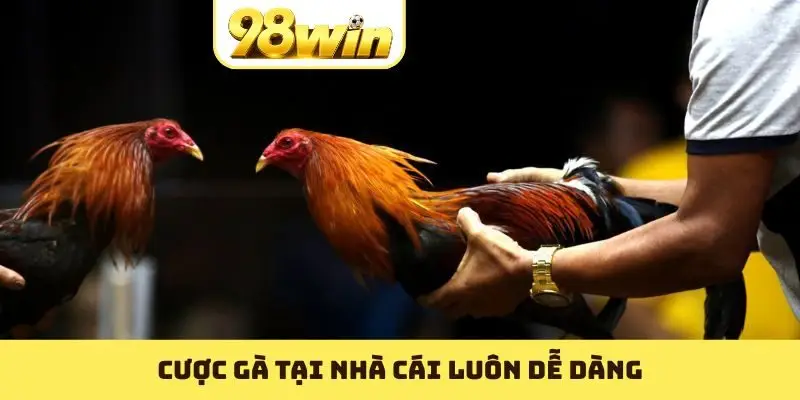 Đá Gà 98WIN - Nơi Các Trận Hùng Kê Nổi Danh Nhất 2026 - Slotvoyage