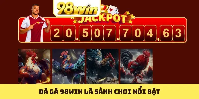 Đá Gà 98WIN - Nơi Các Trận Hùng Kê Nổi Danh Nhất 2026 - Slotvoyage